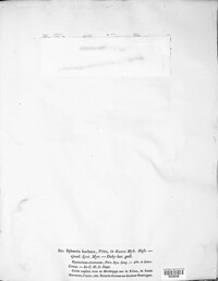 Ostropa barbara image